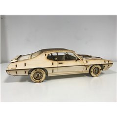Pontiac GTO Judge als 3D Grossmodell